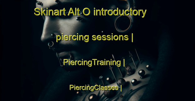 Skinart Alt O introductory piercing sessions | PiercingTraining | PiercingClasses | SkinartTraining-Republic of Korea